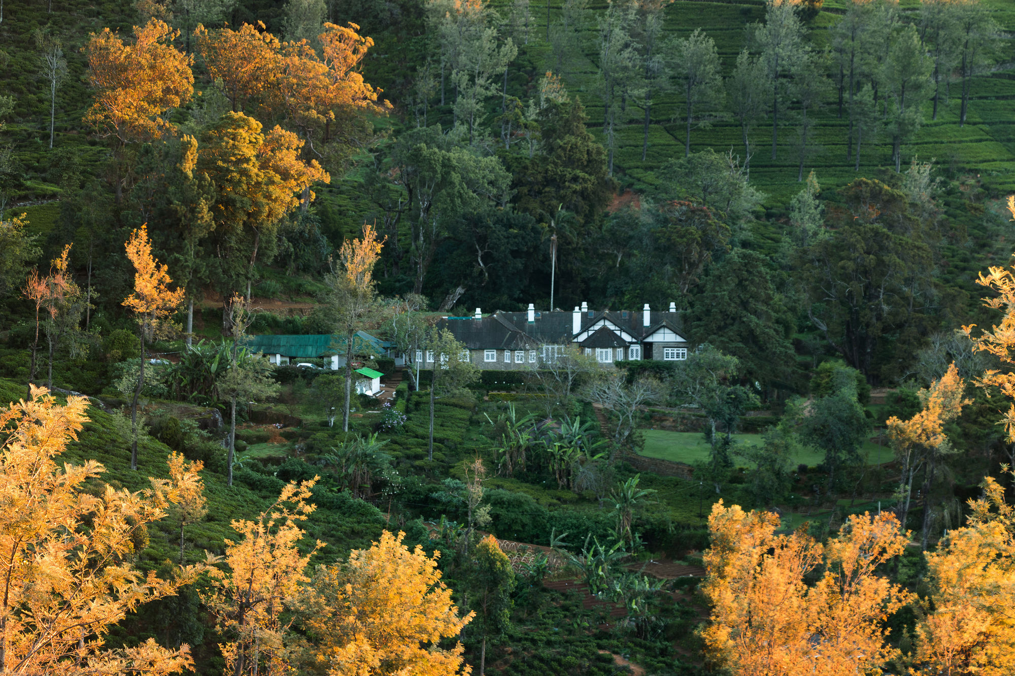 Scottish Planter Glendevon Bungalow Nuwara Eliya Exterior foto