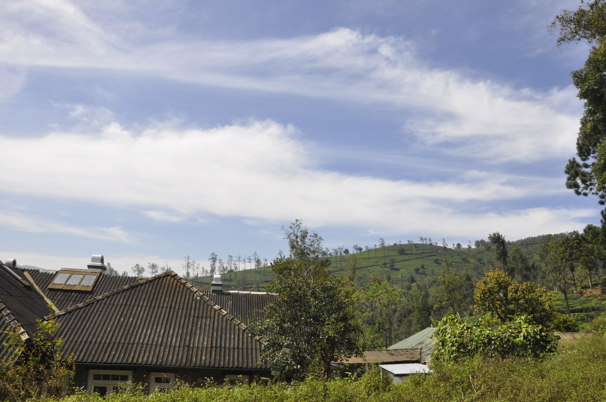 Scottish Planter Glendevon Bungalow Nuwara Eliya Exterior foto